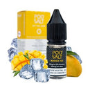 pod salt core