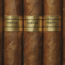 Atmos Lab aroma Habana
